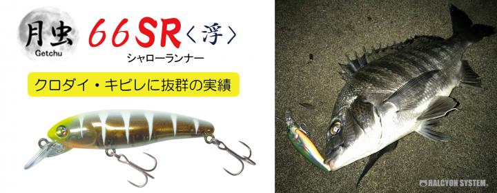 Details about   Halcyon System Chiquitita Baby SL-S fishing lures original range of colors 