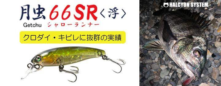 HAL ハルシオン システム 月虫66 SR